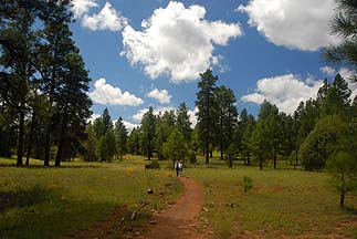 Arizona Trail, August 30